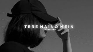 Tere Naino Mein (Slowed & Reverb)
