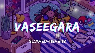 Vaseegara (Slowed & Reverb)