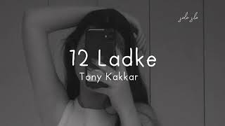 12 Ladke (Slowed & Reverb)