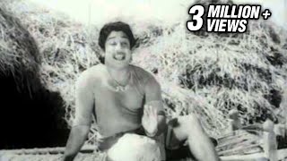 Manaparai Maadu Katti