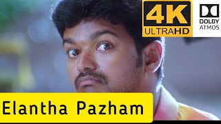 Elantha Pazham