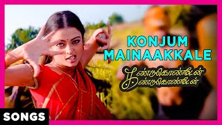 Konjum Mainakkale