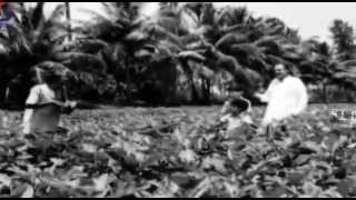 Muthukku Muthaga
