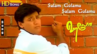 Salam Gulamu