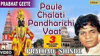 Paule Chalati Pandharichi Vaat