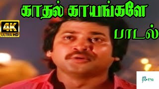 Aankalai Nambathey