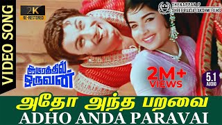 Adho Andha Paravai Pola