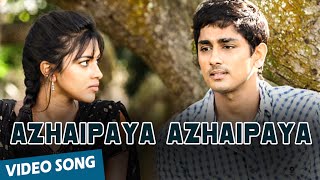 Azhaipaya Azhaipaya