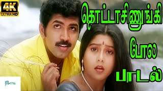 Kannalagu Jadaila