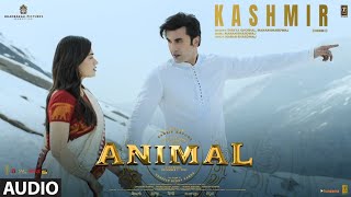 Kashmir Jaisi Jagah Le Chalo Na