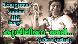 Kuyiline Thedi