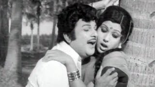 Machane Acharam Podu
