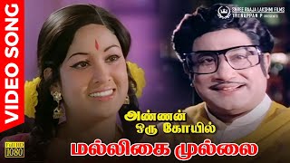 Malligai Mullai