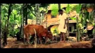 Maranju Poyathenthe