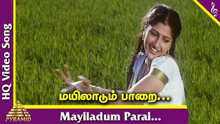 Mayilaadum