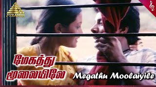 Megathu Moolaiyila