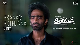 Nanne Thitti Pranam Pothunna