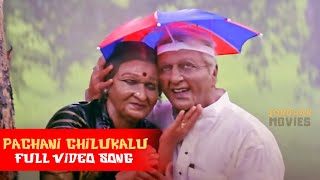 Pachani Chilukalu Thodunte