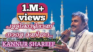Pallikattilanu Nale Maniyara