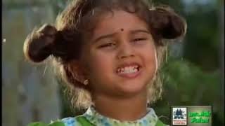 Pappa Padum Pattu