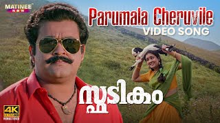 Parumala Cheruvile