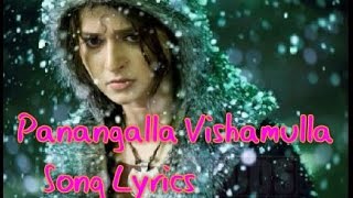 Pazhangalla Vishamulla