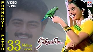 Poonkuyil Pattu Pudichirukku