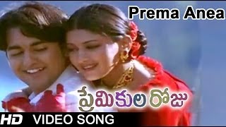 Prema Ane Pariksha Rasi