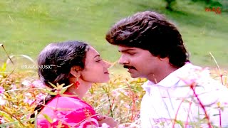 Sangeetha Vanil