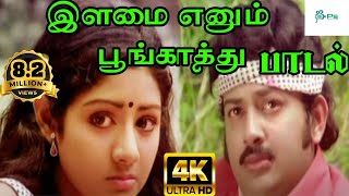 Thannai Maranthu