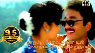 Thazhampoo Selai