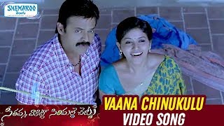 Vaana Chinukulu