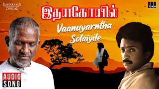 Vaanuyarntha Solaiyile