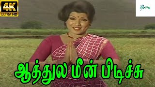 Aathula Meen