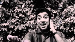 Andavan Thodangi