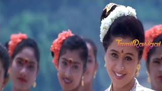 Chittu Parakkuthu Kuthalathil
