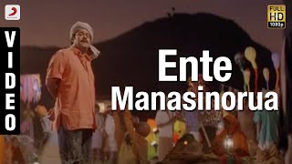 Ente Manasinorua