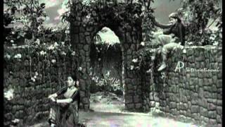 Ettaatha Kilaiyil Kittaatha