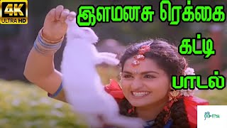 Ila Manasu Rekkai Katti