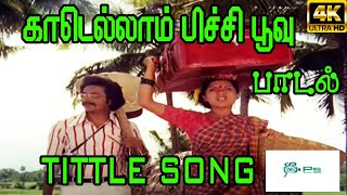 Kadellam Pichi Poovu