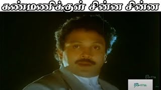 Kanmanikul Chinna Chinna