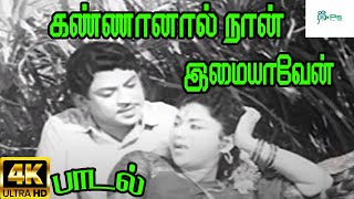 Kannanal Naan Imaiyaven