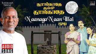Naanaga Naan Illai Thaaye