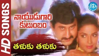 Nayudu Gari Kutumbam