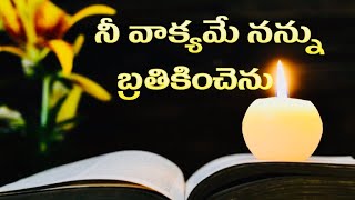 Nee Vakyame Nannu Brathikinchenu