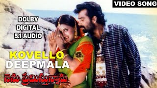 Nenu Premisthunnanu