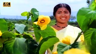 Poovarasampoo Poothachu