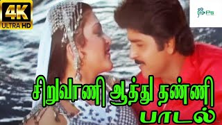 Siruvaani Aathu Thanni