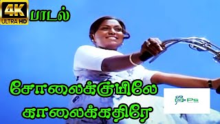Solaikkuyilae Kaalaikkathire