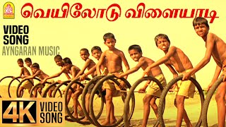 Veyilodu Vilaiyadi